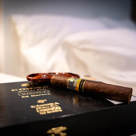 公寓 Konzul 普拉